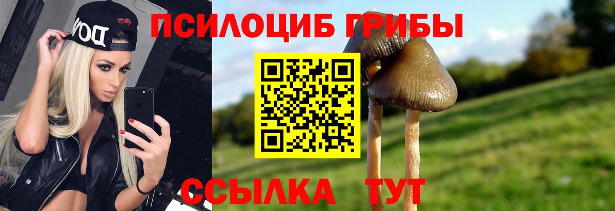 Семилуки  дарнет шоп  Вход с VPN  Псилоцибиновые грибы Cubensis 